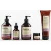 Insight DAMAGED HAIR Restructurizing Shampoo  (400ml / 900ml)