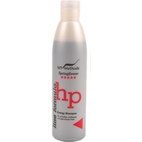 WT-Methode Energy Shampoo, 250 ml
