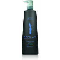 BES Cool-It Color Reflection Mask - tonējoša maska 300ml