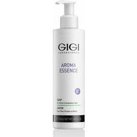 GIGI AROMA ESSENCE SOAP Oily & Combination Skin, 250ml